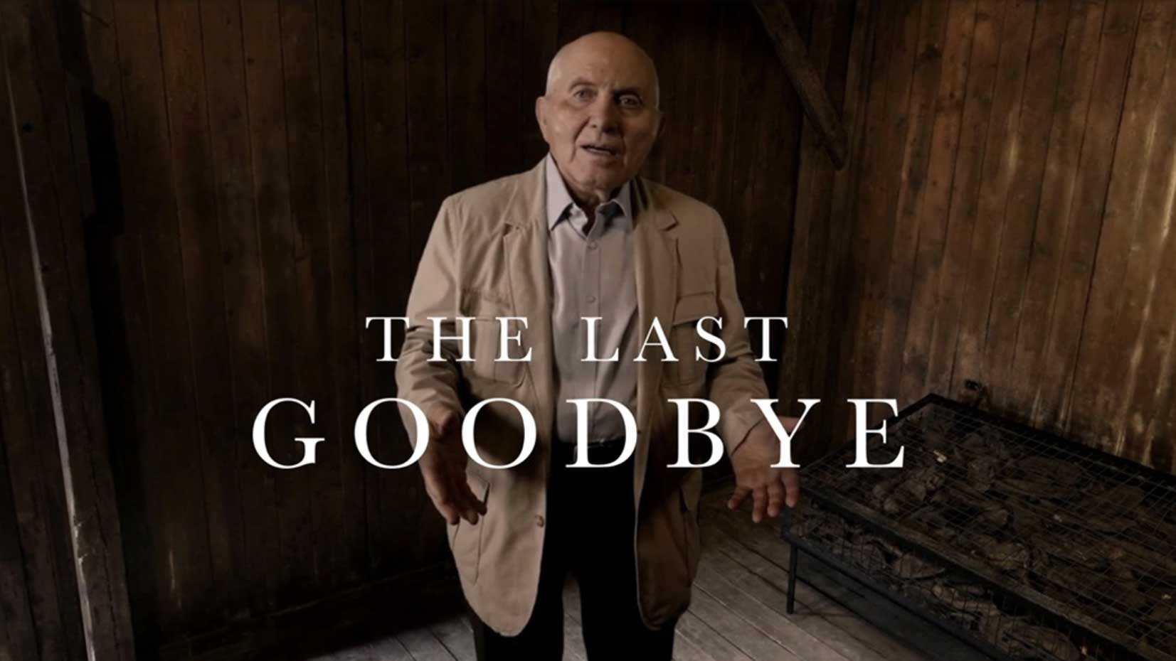 Cover art for The Last Goodbye