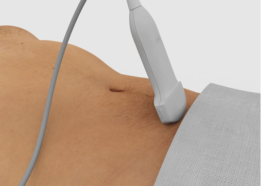 Examination of the Bladder via Ultrasound at U of SC School of Medicine