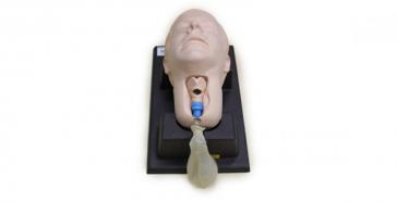 Cricoid Stick Trainer - Cric Head