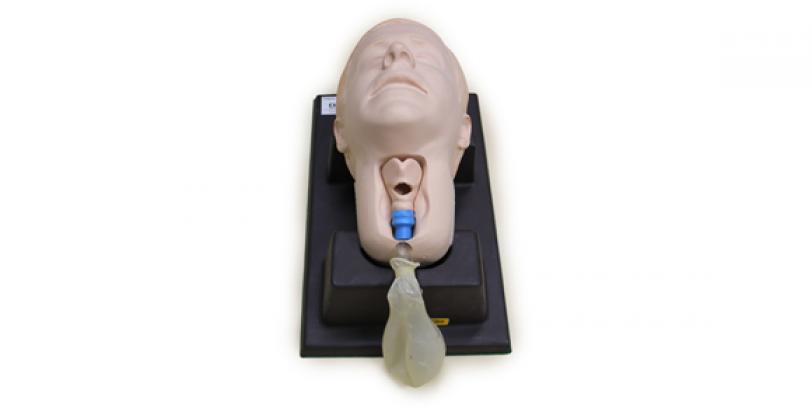 Cricoid Stick Trainer - Cric Head