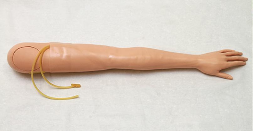 Female Multi-Venous IV Arm