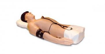 Harvey Cardiopulmonary Patient Simulator
