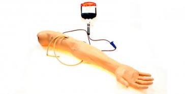 Male Multi-Venous IV arm