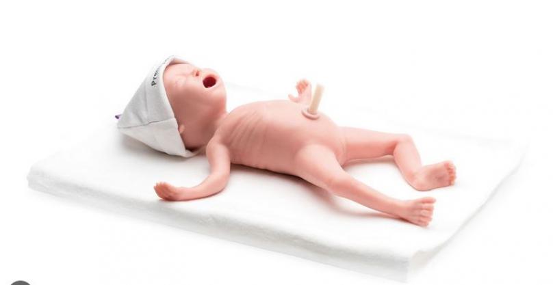 Premature Anne Task Trainer (Premie)