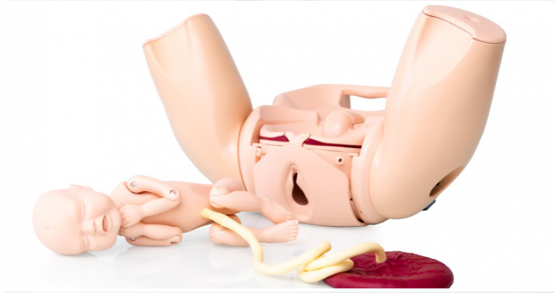 Prompt Flex Birthing Simulator