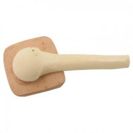 EZ IO - Adult Humerus Training Bone w/skin