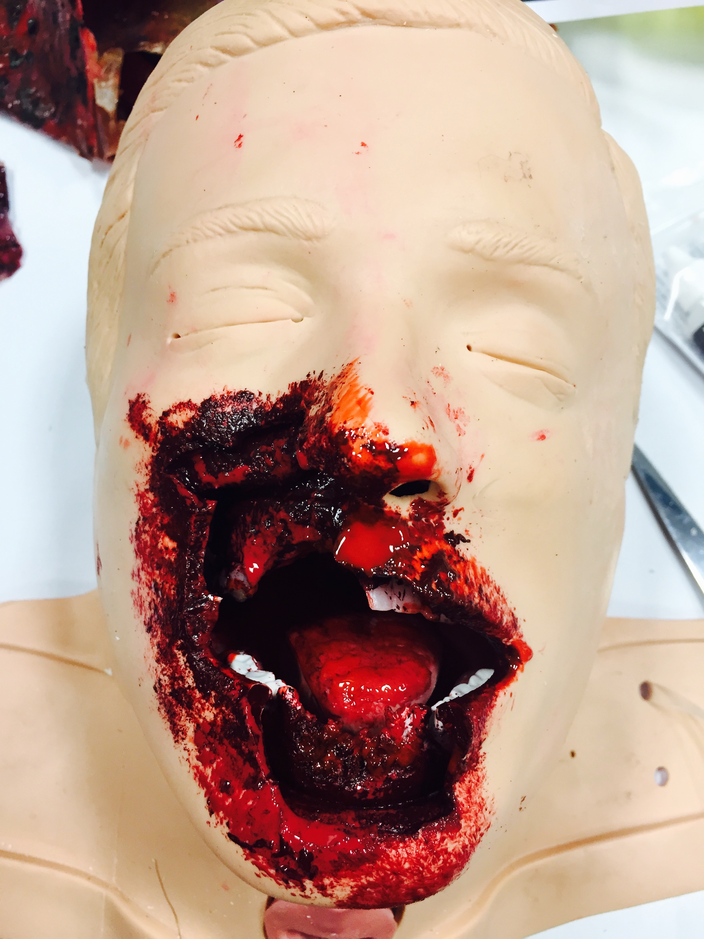 Short report publication – facial gunshot wound moulage - CSDS Blog