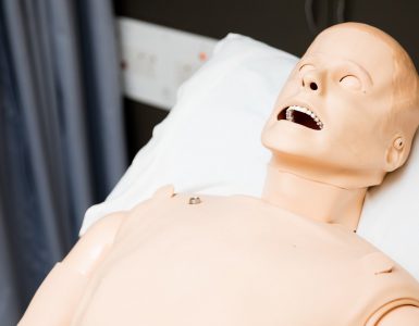 Simulation manikin